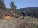 CAM00520