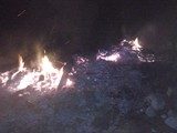 CAM00541